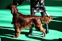 Crufts2011 095